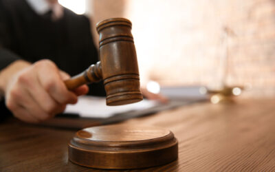 Laurea, 24 CFU e 36 mesi di esperienza: non sono equiparabili all’abilitazione. Sentenza