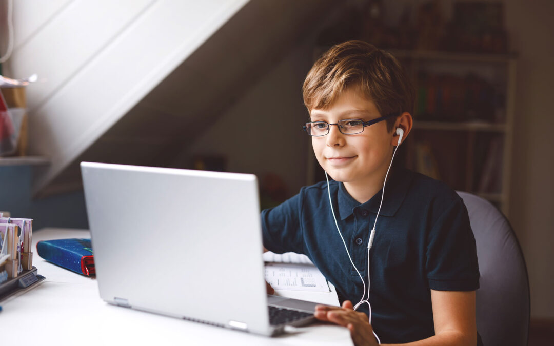 Lezioni web obbligatorie: chi ne salta una su quattro perde l’anno scolastico