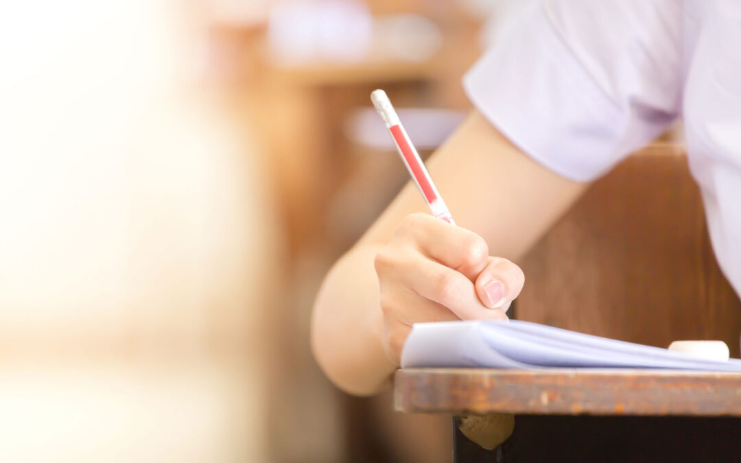 Scuola, concorso Dsga, prove cambiate all’ultimo e «sviste» nelle correzioni: il ricorso degli esclusi