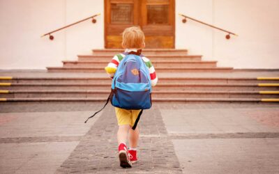 La preside vieta la protesta dei liceali “Basta lezioni online davanti a scuola” «Sono vicina a quello che fai, ma se sei lì devo farti scollegare e segnarti assente»