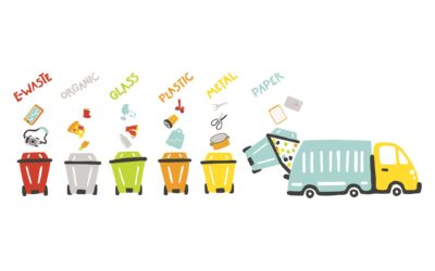 La valutazione alla Primaria, il Curriculum verticale di Educazione Civica e il PTOF