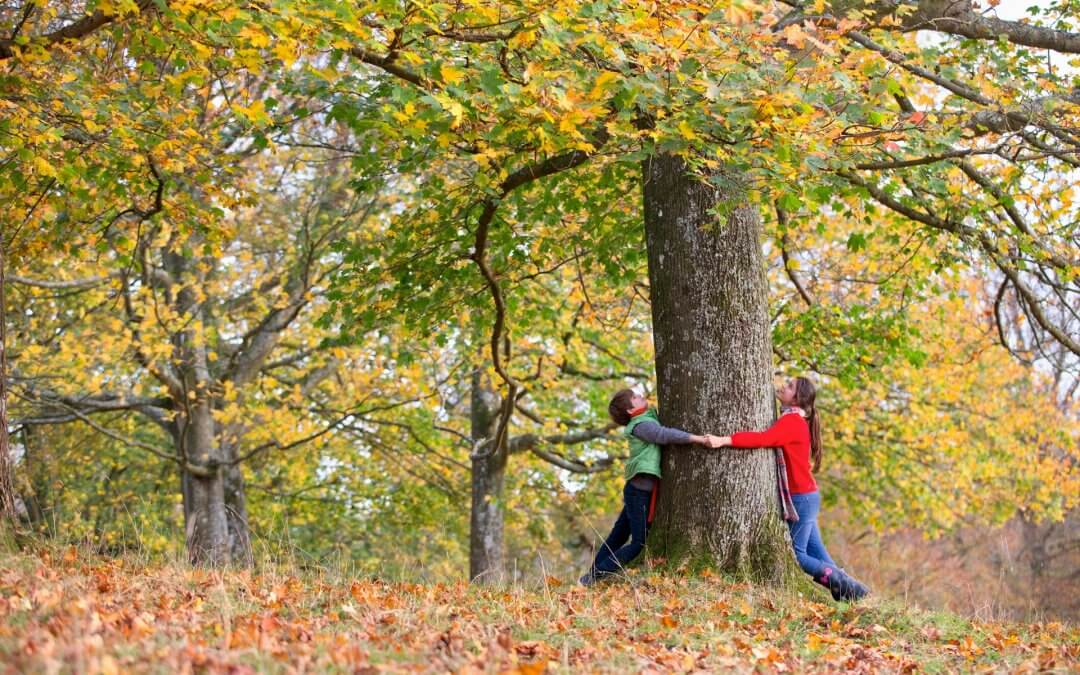 Apprendimento esperienziale: il progetto “A scuola di foresta” dell’Università di Padova presso le scuole di Milano