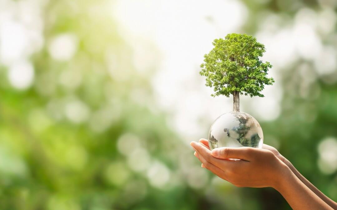 Al via “RiGenerazione scuola”  piano del Ministero per la transizione ecologica e culturale delle scuole