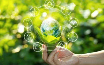 Al via dal 3 novembre il Piano di transizione ecologica per le scuole