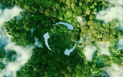 Sostenibilità e didattica: come aumentare negli alunni la consapevolezza che le risorse del Pianeta non sono infinite?