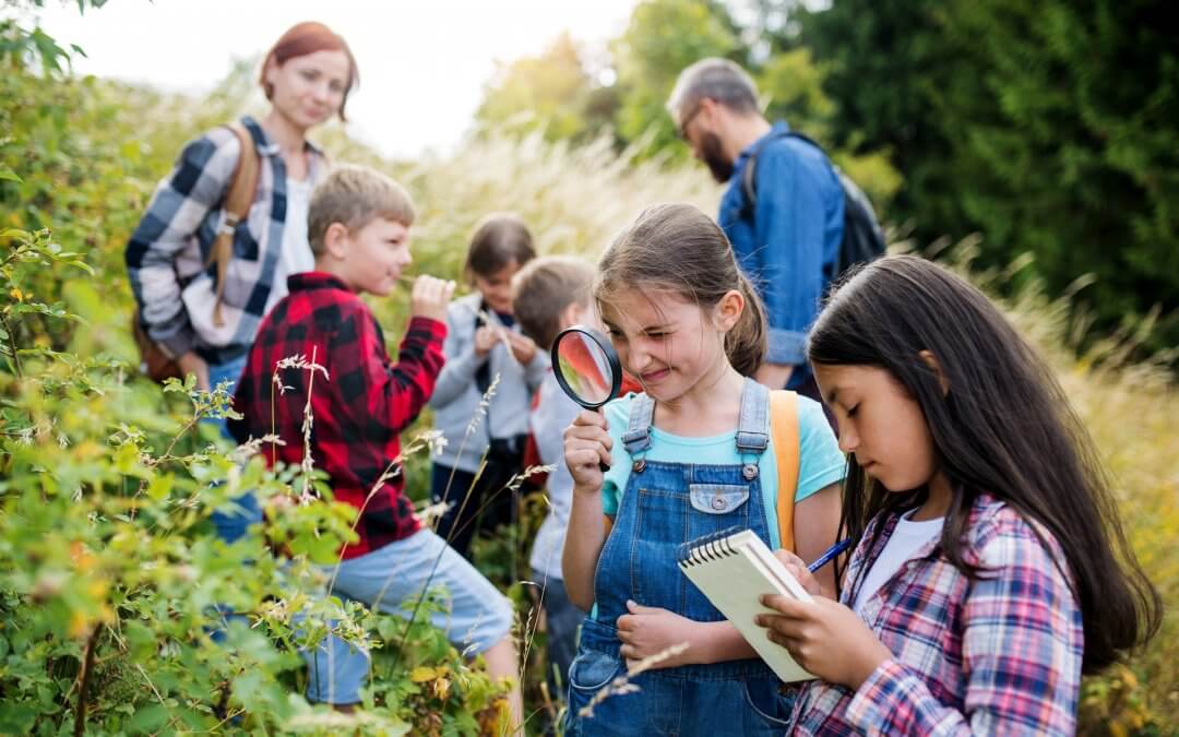 GPS personale educativo: ci si inserisce anche con diploma magistrale o triennale L19. Tutti i requisiti