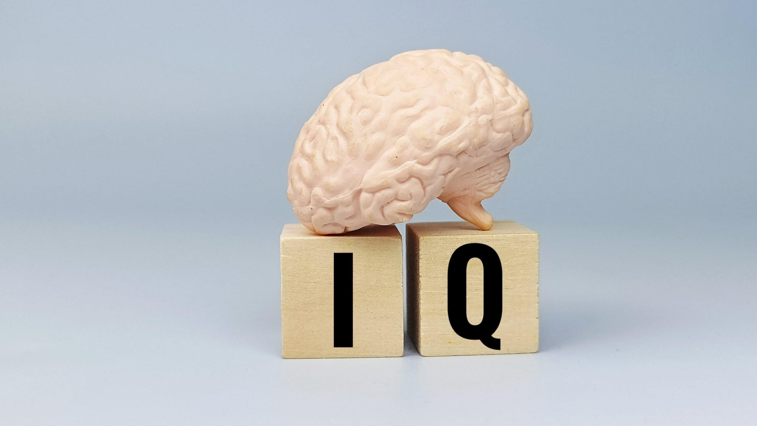 Human,Brain,Model,On,Wooden,Blocks,With,Iq,Text,Representing