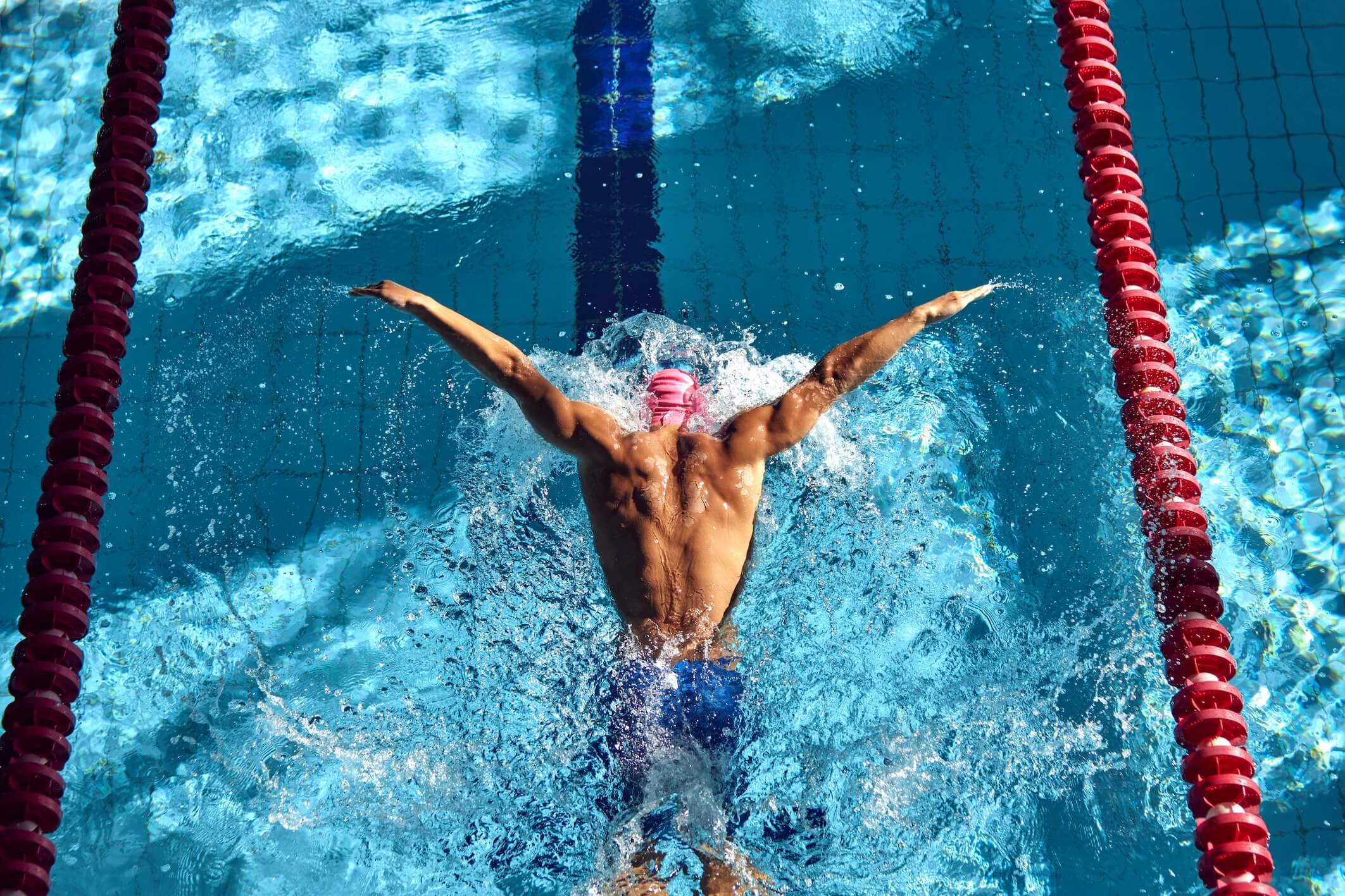 Swimmer,,Seen,From,Above,,Powers,Through,Water,With,Butterfly,Stroke,